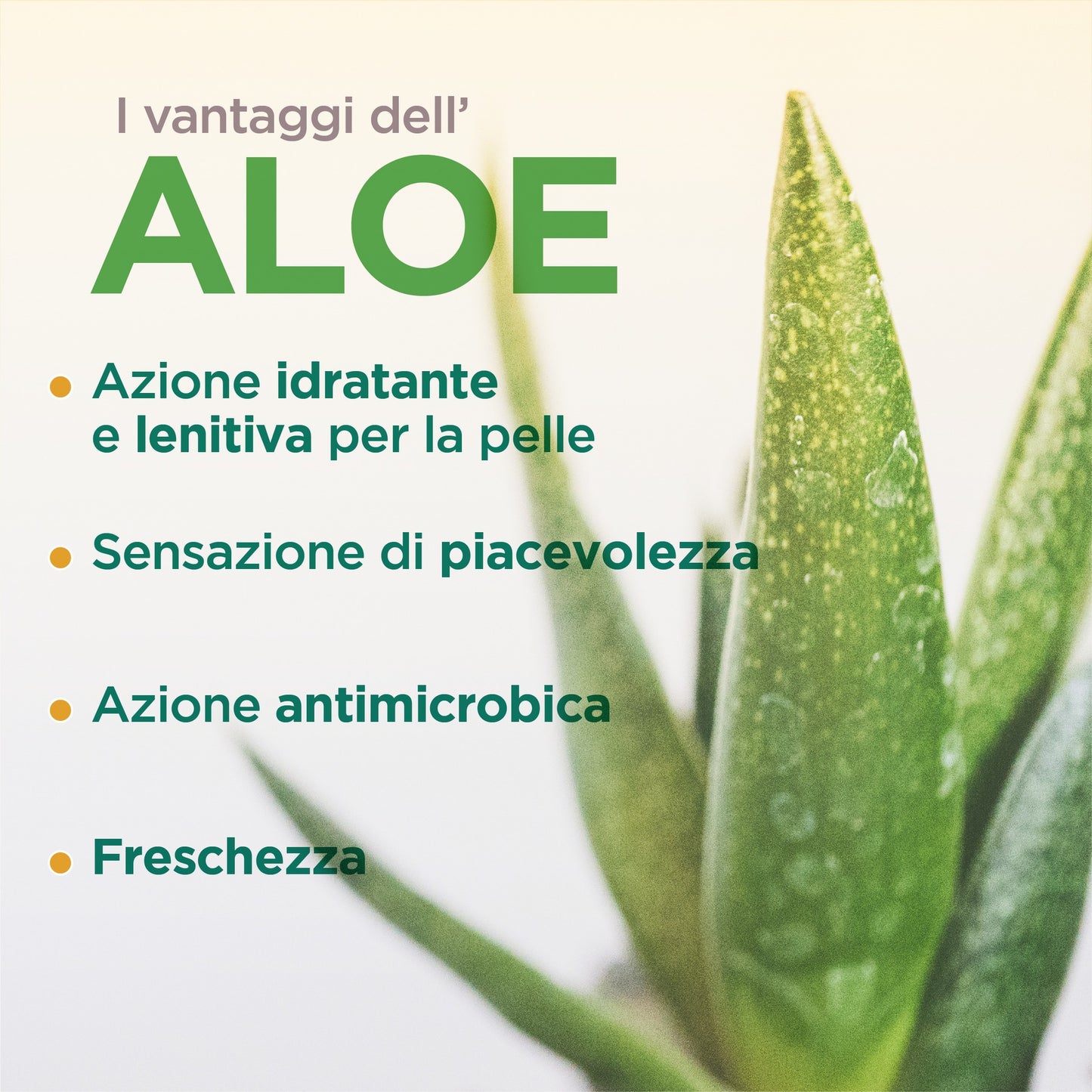 Materasso Aloe